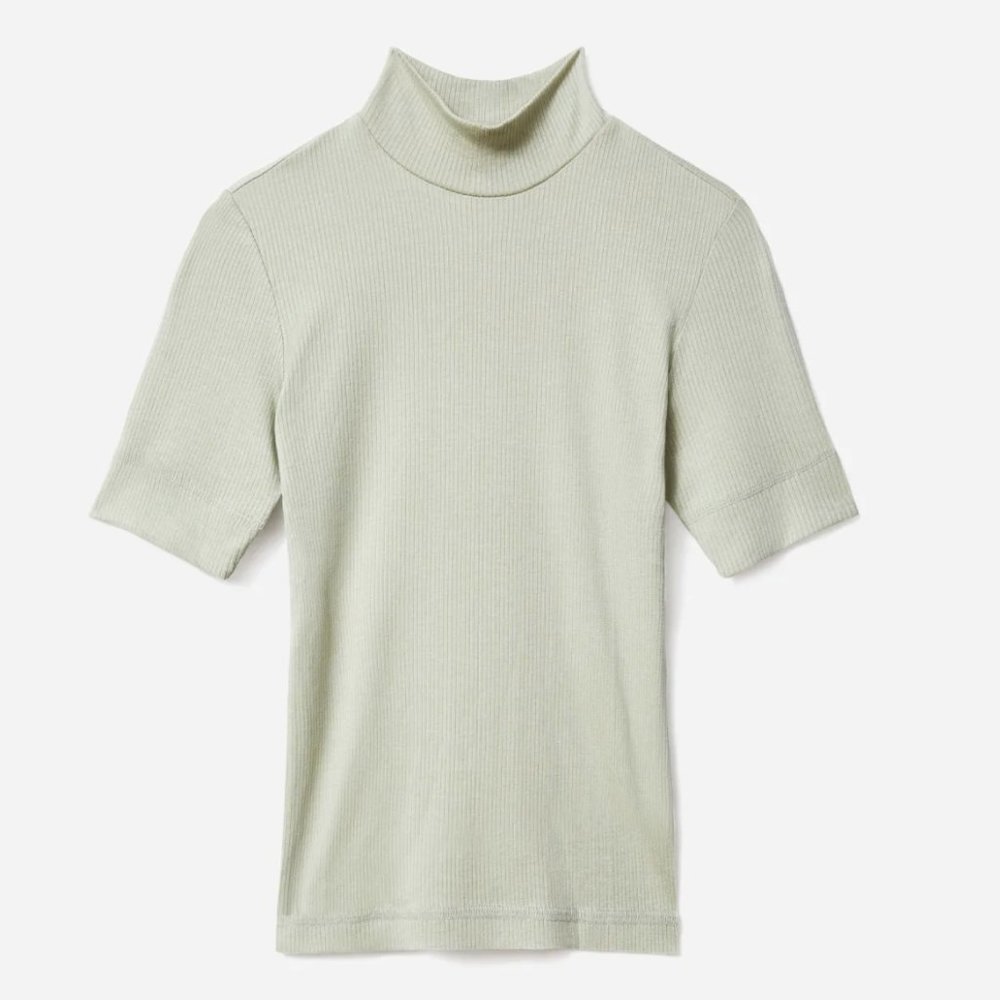 Everlane Super-Soft Mockneck Tee in Laurel XS